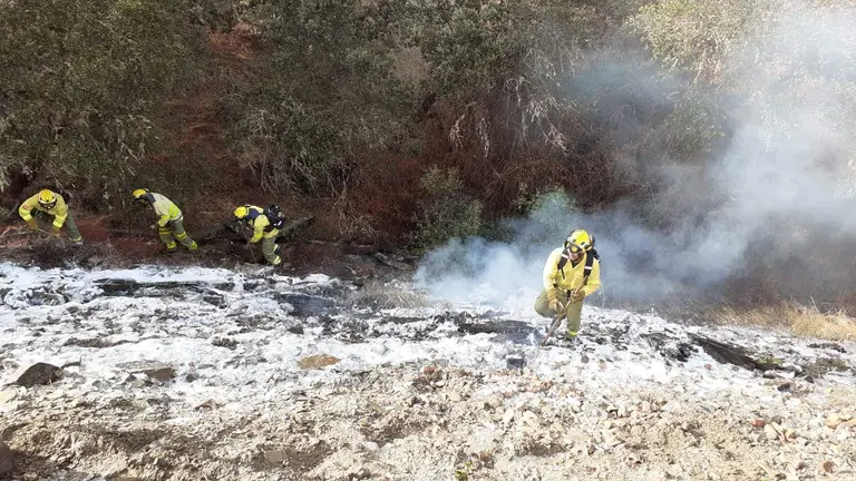 131DF304-D2DE-4641-BDFA-65CC660FD6BA