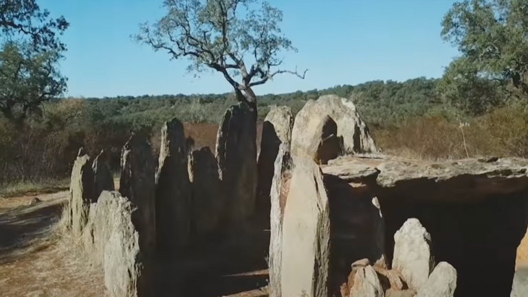 3E257AC7-5F28-4D18-80CC-0FB374BDB713