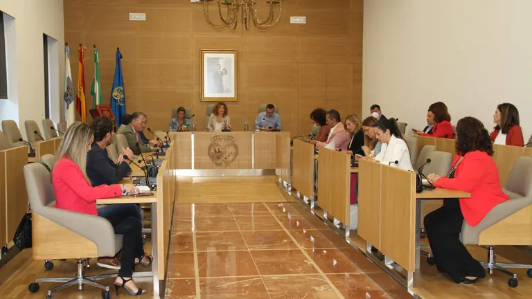 Pleno Cuentas de Diputaci&oacute;n.