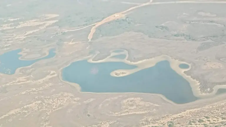 Lagunas de Do&ntilde;ana, casi sin agua