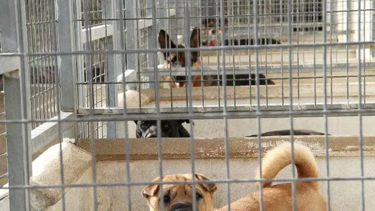 EC514D21-DADE-4AA0-92E2-ED0B238B6905