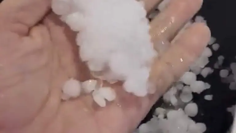 8E504577-F356-4D8A-B681-2B98A36DA3AF