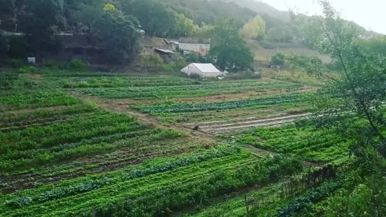 Tierras del M&uacute;rtiga