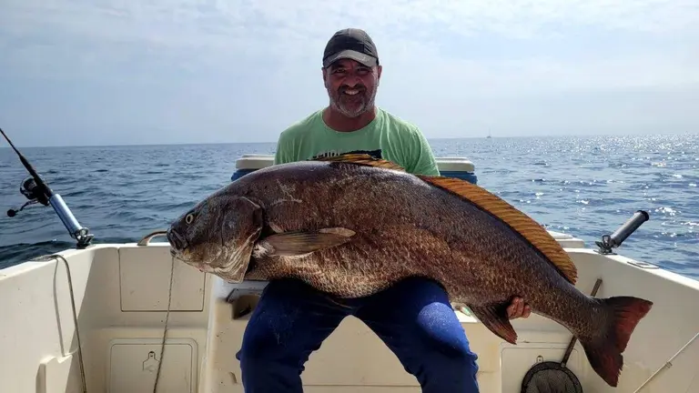 Daniel Domínguez posa con la impresionante corvina de 40 kilos