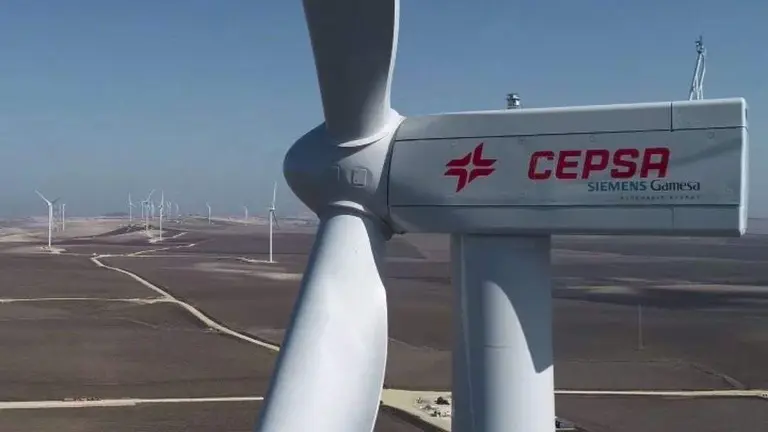 Parque e&oacute;lico de Cepsa
