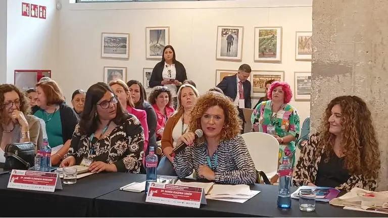 La presidenta de la Diputaci&oacute;n durante su comparecencia