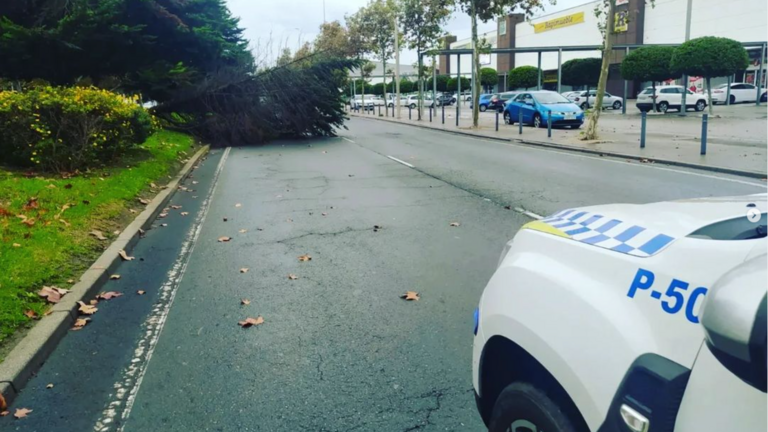 La Polic&iacute;a Local de Huelva llega al lugar del siniestro