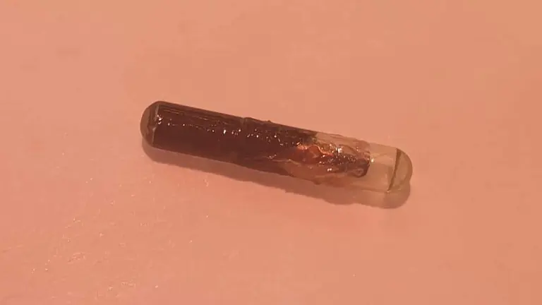 Microchip encontrado en el interior del jamón