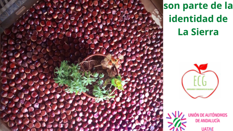 Imagen de la campa&ntilde;a "Por un casta&ntilde;ar vivo"