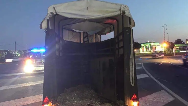 B611AD66-1E7F-4E9D-9F61-7D9F46F73FD0