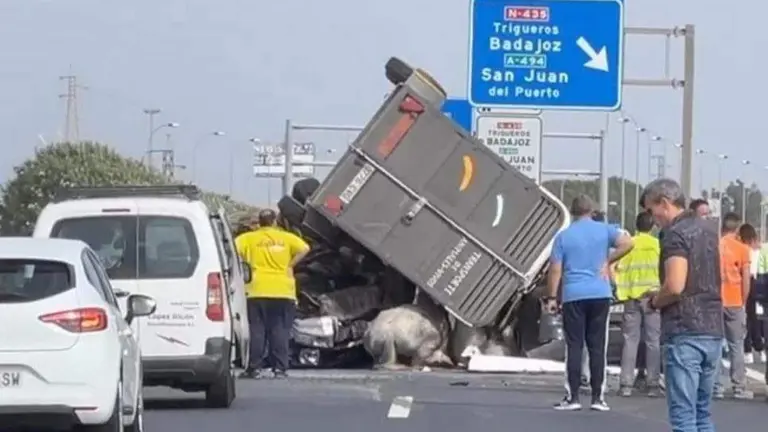 Los caballos quedaron atrapados entre el asfalto y el remolque que qued&oacute; destrozado