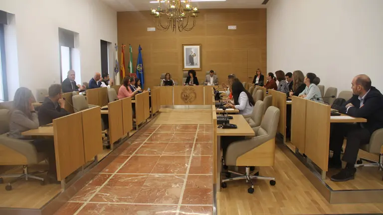 Imagen del pleno de la Diputaci&oacute;n en la que se aprobaba la medida