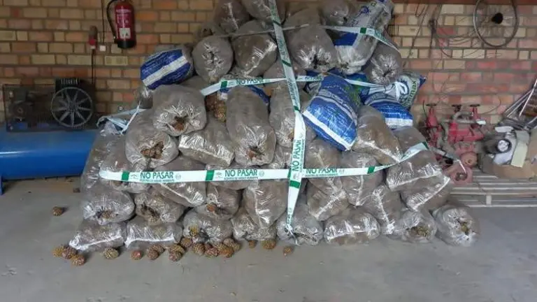 52B90C4B-C7C3-4B22-B96B-4D4DC07013BC