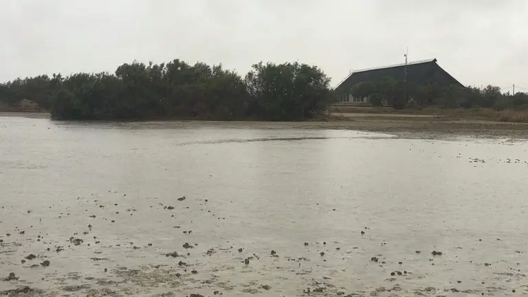 Laguna del centro de visitantes José Antonio Valverde