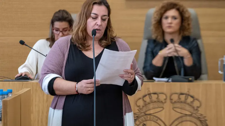 Pleno Ordinario Diputación