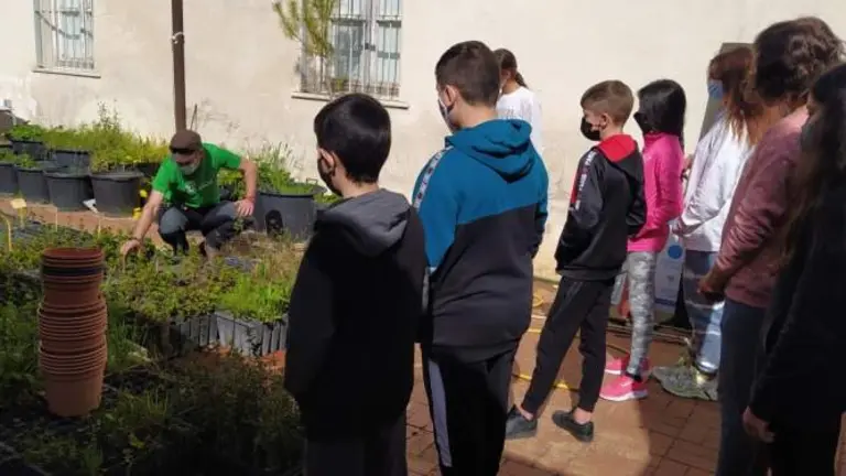 Actividades para la infancia