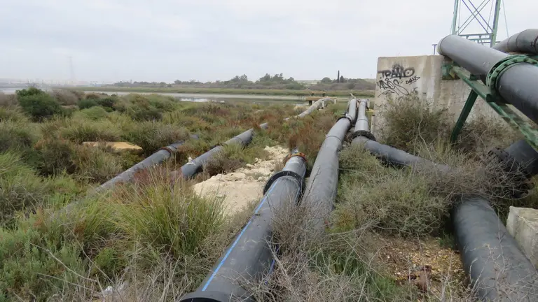 Zona 1 de fosfoyesos.