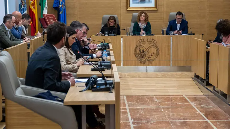 Pleno Diputación de Huelva