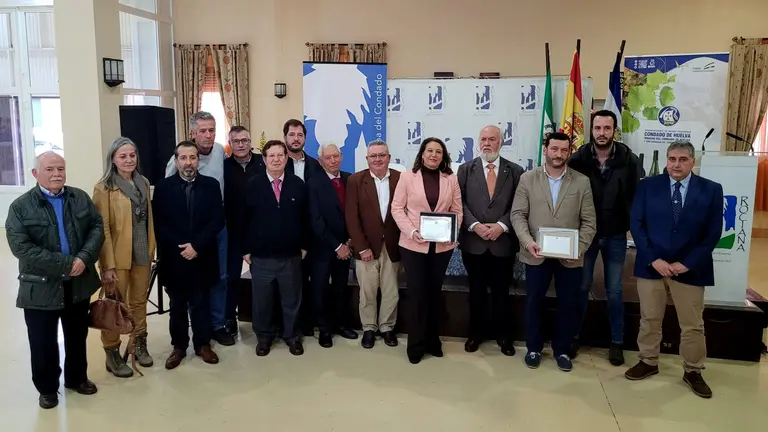 Condado de Huelva insignia de oro