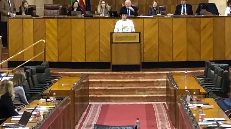 El Gobierno andaluz, ausente en el debate de la ILP