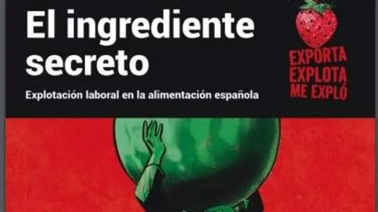 Detalle de la portada con la fresa se&ntilde;ala bajo el slogan.
