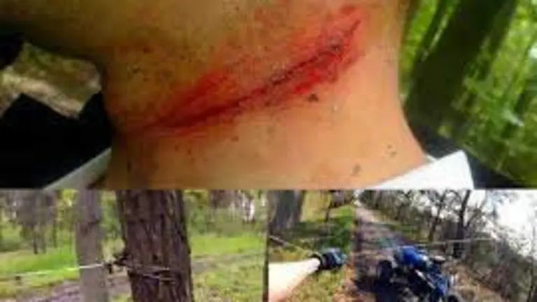 Foto compartida por la Guardia Civil