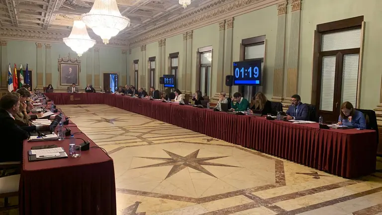 Imagen del Pleno Municipal