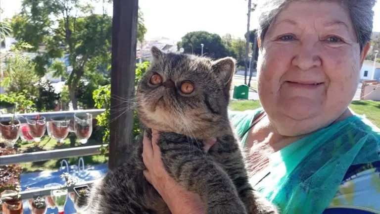 Mai Abril, con uno de sus gatos