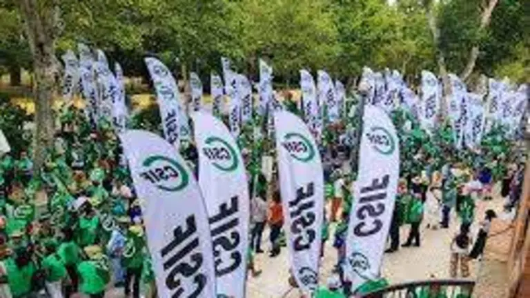 Concentración de CSIF