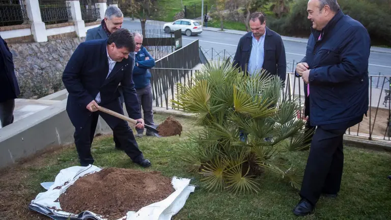 El alcalde, Gabriel Cruz, en la plantación del palmito