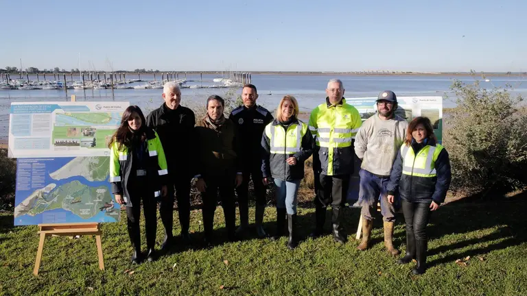 Plantacion Spartina Maritima APH1