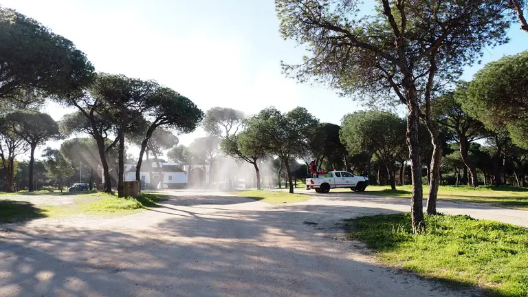 Pinar de La R&aacute;bida