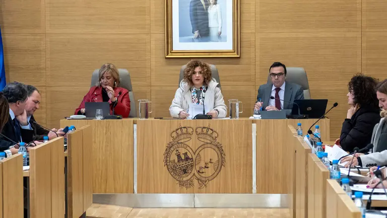 Pleno provincial en la Diputación