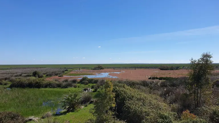Panorámica de la zona de Doñana