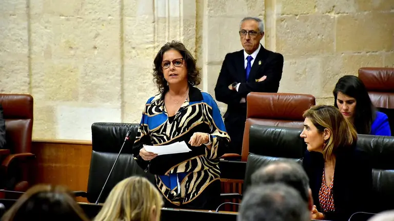 La consejera Catalina Garc&iacute;a en el Parlamento