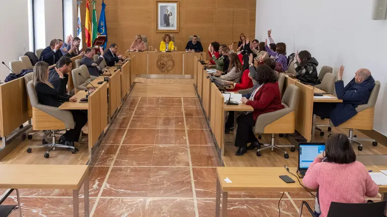 Pleno de la Diputación