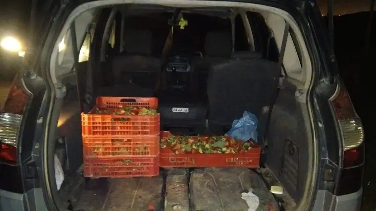 Una de las cargas detectadas antes de su salida