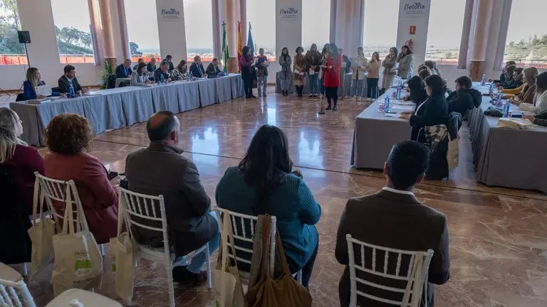 Pleno de la Diputaci&oacute;n celebrado en Beturia