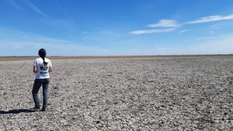 Una voluntaria observa una zona seca del Parque Nacional