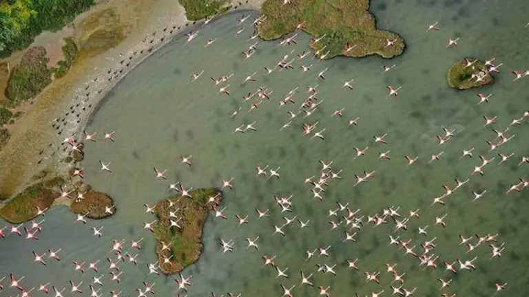 Do&ntilde;ana, Reserva de la Biosfera