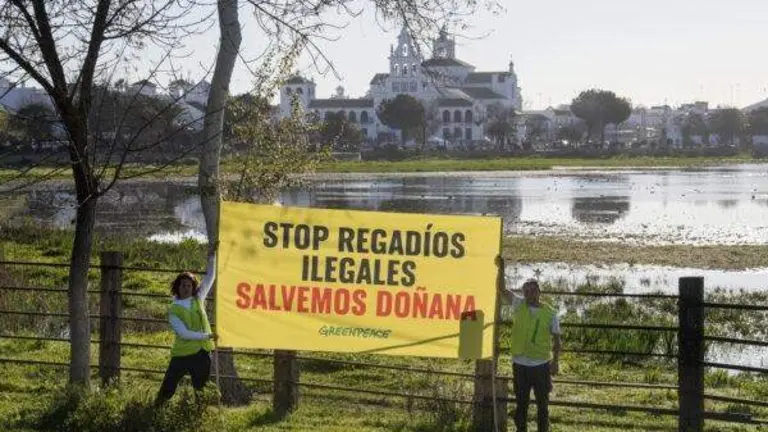 Pancarta de Greenpeace