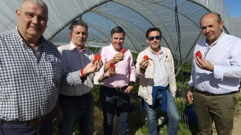 Visita de representantes de UPA