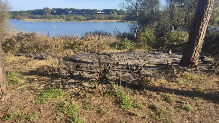 Cenizas de observatorio Estero