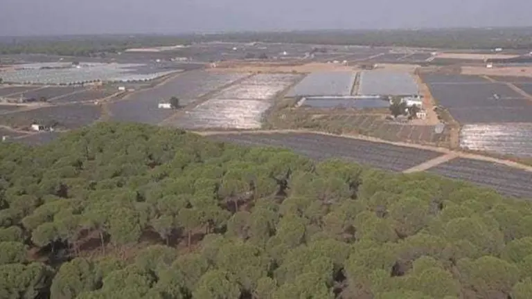 Regad&iacute;os e invernaderos en el entorno de Do&ntilde;ana