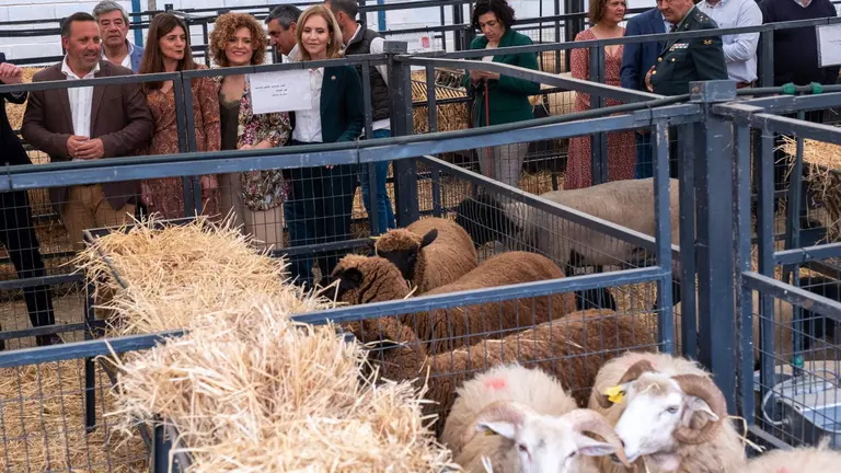 Recinto de la Feria Ganadera