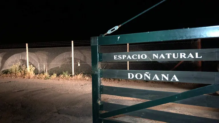 L&iacute;mite de Do&ntilde;ana, con regad&iacute;os de fresa a las puertas