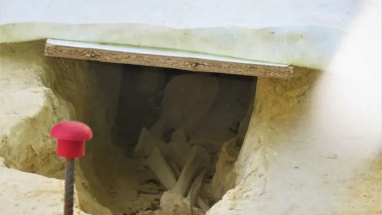 Tumba Avenida de las Flores