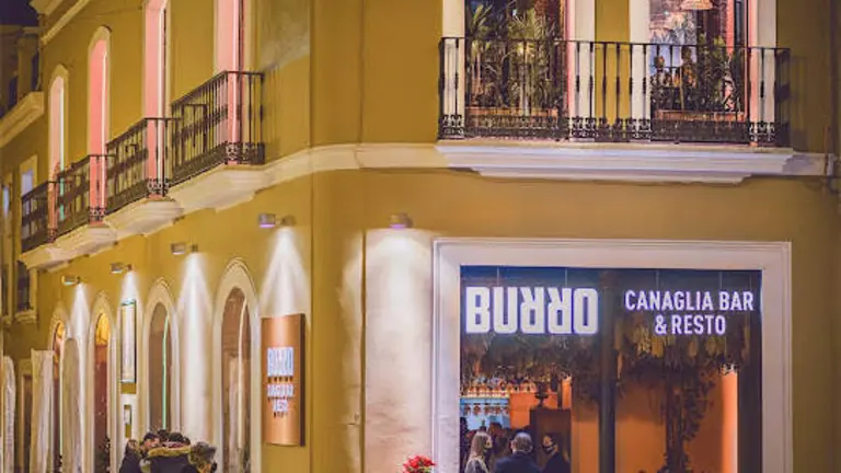 Burro_Huelva_Web_065 (1)