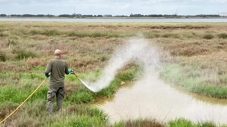 Fumigaci&oacute;n en las marismas onubenses por parte del Servicio de Control de Plagas de Diputaci&oacute;n