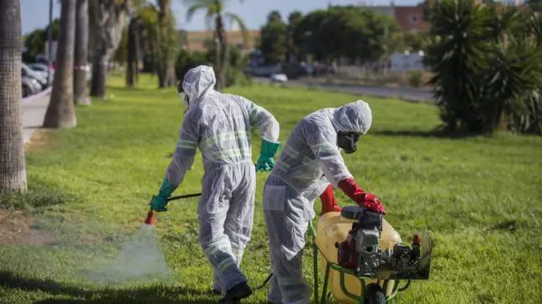 Fumigaciones para evitar la proliferaci&oacute;n de mosquitos